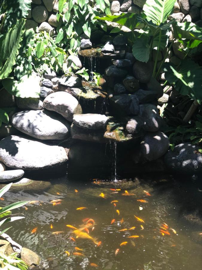 Melati Bali 2 Hotel Canggu Buitenkant foto